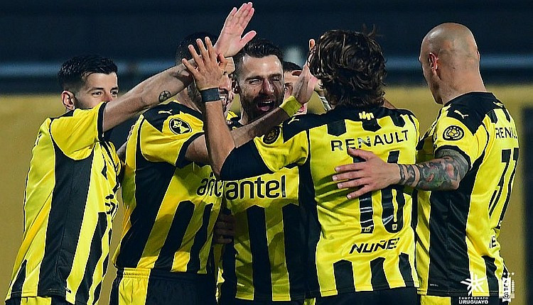 Penarol 8